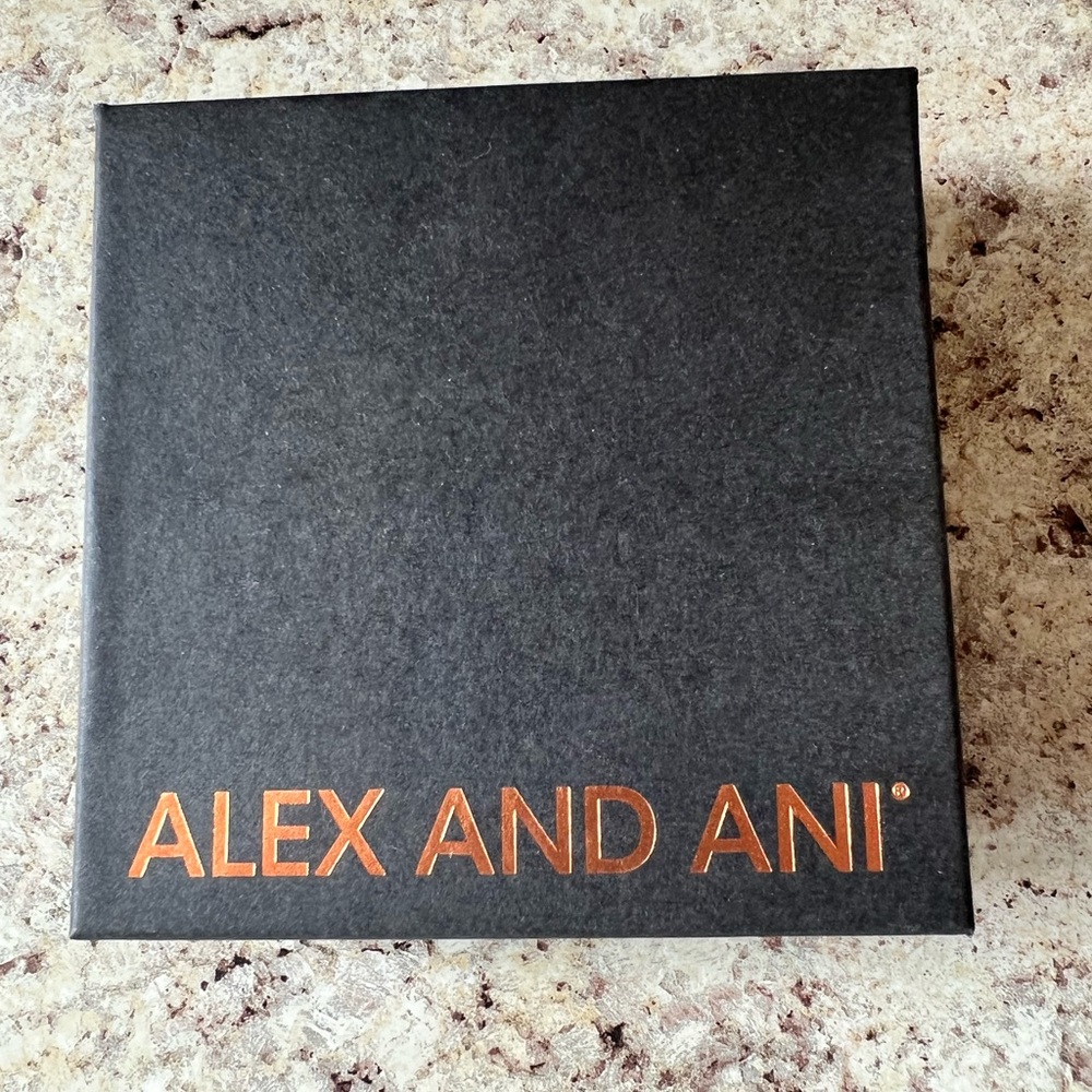 Alex & Ani Rétro Bracelet - Picture 4 of 8